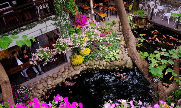 garden cafes in DaNang
